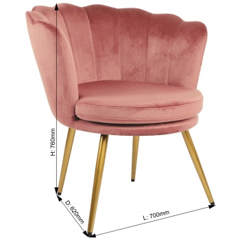 Genesis Flora Accent Chair with Petal Back Scallop Armchair in Velvet - Dusty Pink