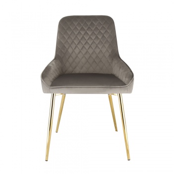 Evie Dining Chair in Velvet Fabric w/ Gold Legs - Grey