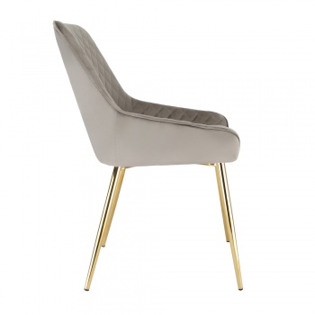 Evie Dining Chair in Velvet Fabric w/ Gold Legs - Grey