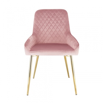 Evie Dining Chair in Velvet Fabric w/ Gold Legs - Pink