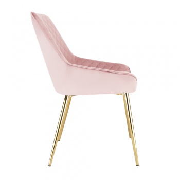 Evie Dining Chair in Velvet Fabric w/ Gold Legs - Pink