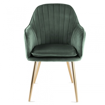 Genesis Muse Chair in Velvet Fabric x 2 - Bistro Green