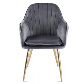 Genesis Muse Chair in Velvet Fabric x 2 - Grey with Gold Legs