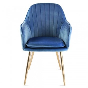 Genesis Muse Chair in Velvet Fabric x 2 - Navy