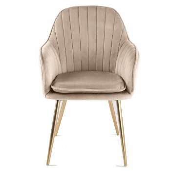 Genesis Muse Chair in Velvet Fabric x 2 - Taupe